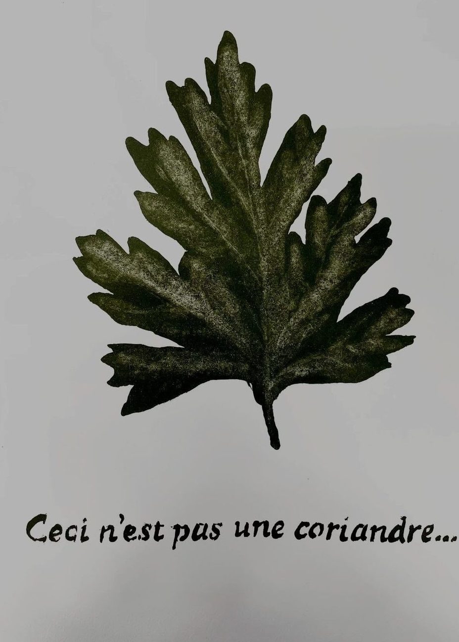 Ceci n'est pas une coriandre — lithograph