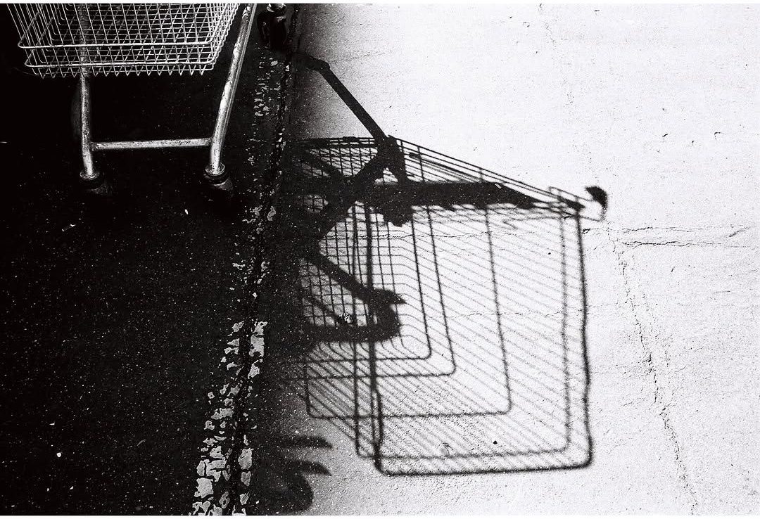 Shopping trolley and its shadow